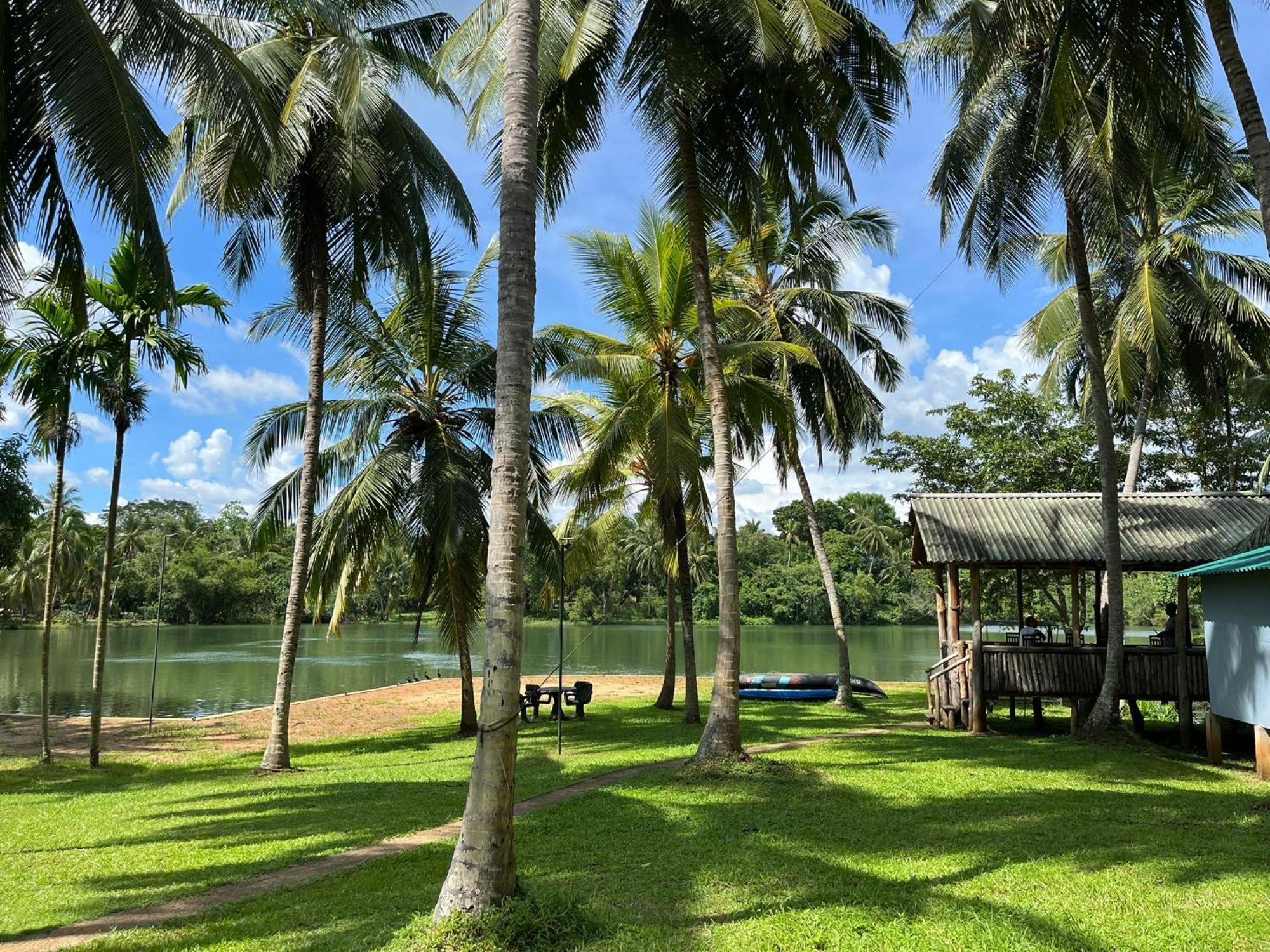 Yonan River Face Safari Resort Udawalawe Exterior foto