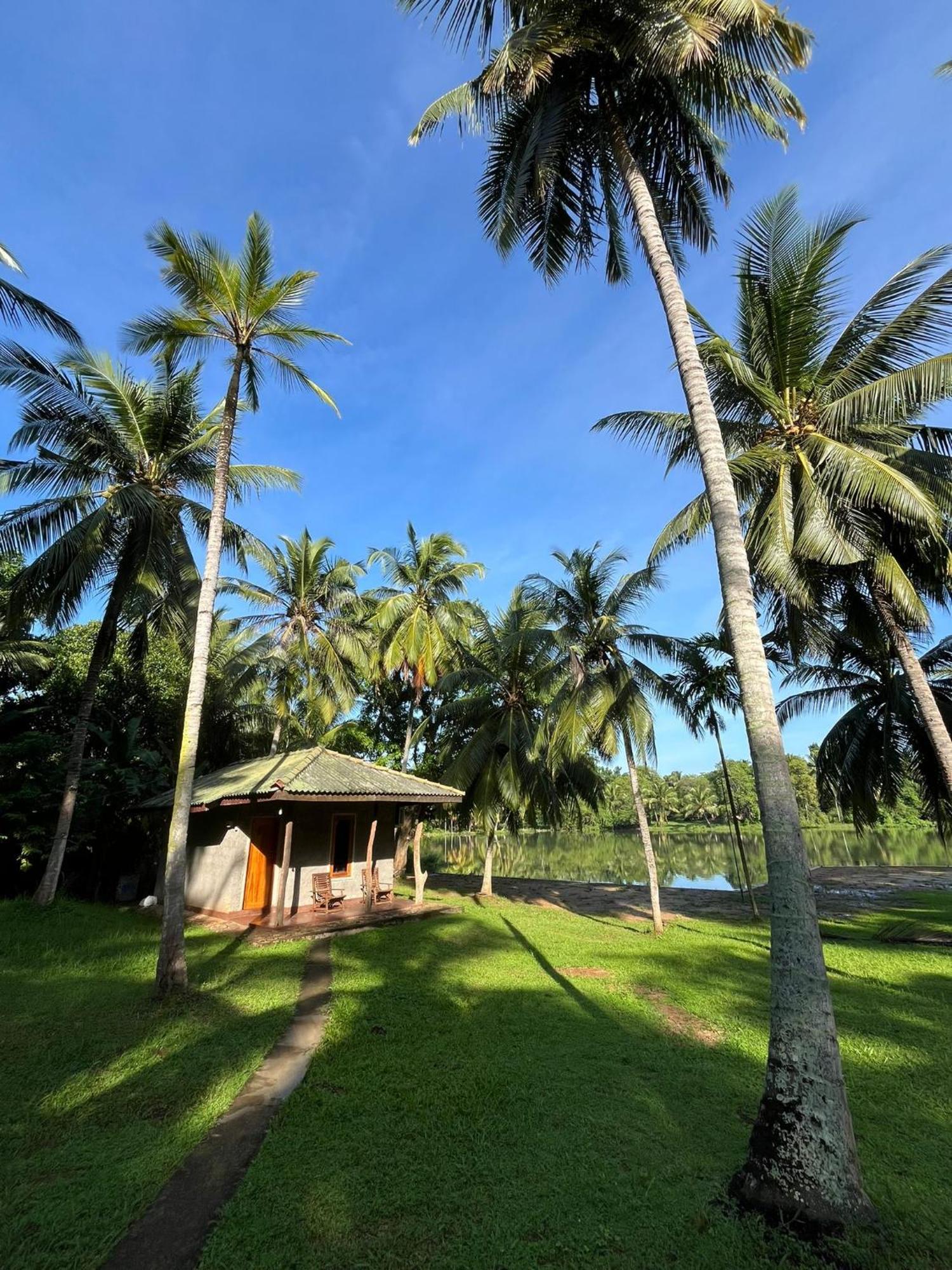 Yonan River Face Safari Resort Udawalawe Exterior foto